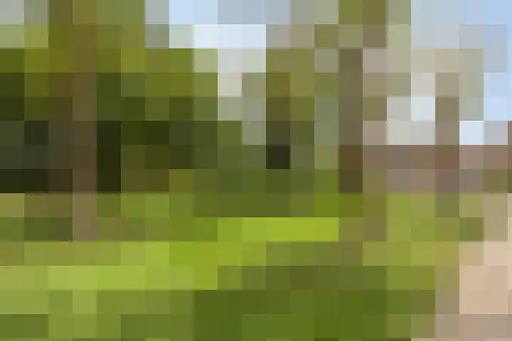 Vromoldsland 51 Middelburg thumbnail 45
