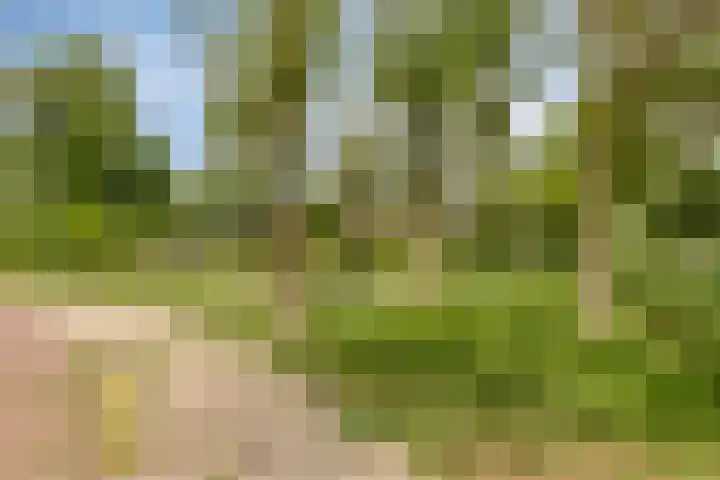 Vromoldsland 51 Middelburg thumbnail 46