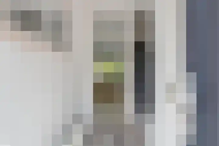 Vromoldsland 51 Middelburg thumbnail 6