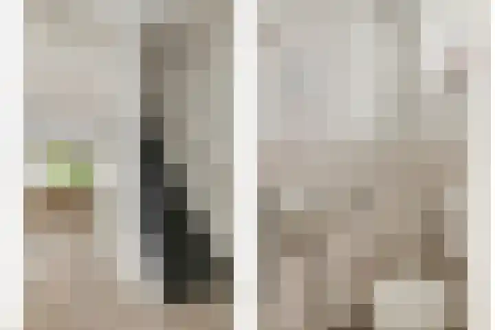 Vromoldsland 51 Middelburg thumbnail 7