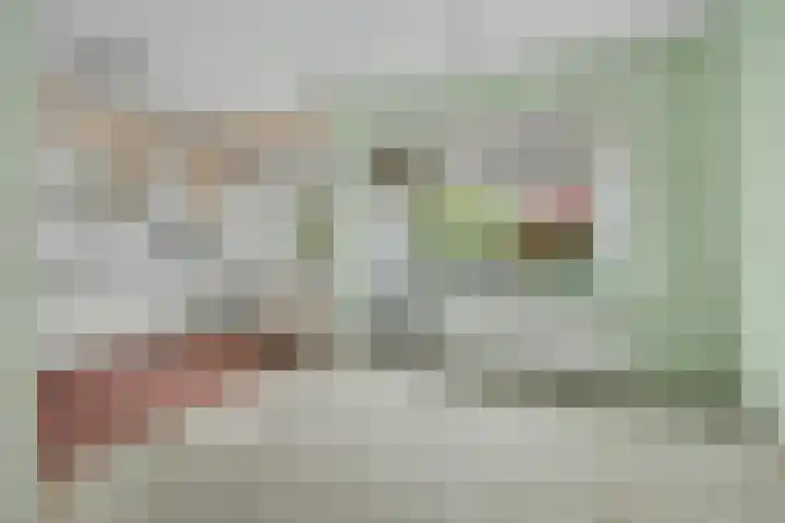Vromoldsland 57 Middelburg thumbnail 14