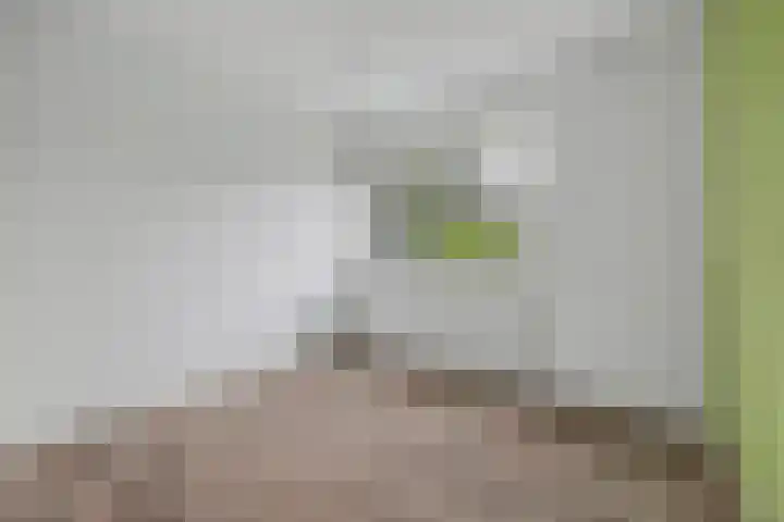 Vromoldsland 57 Middelburg thumbnail 22