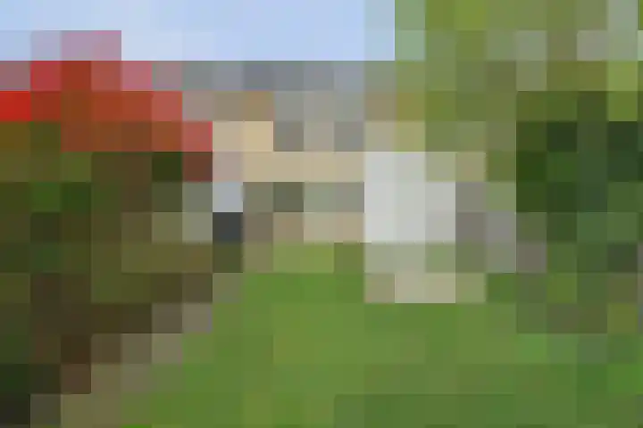 Vromoldsland 57 Middelburg thumbnail 30