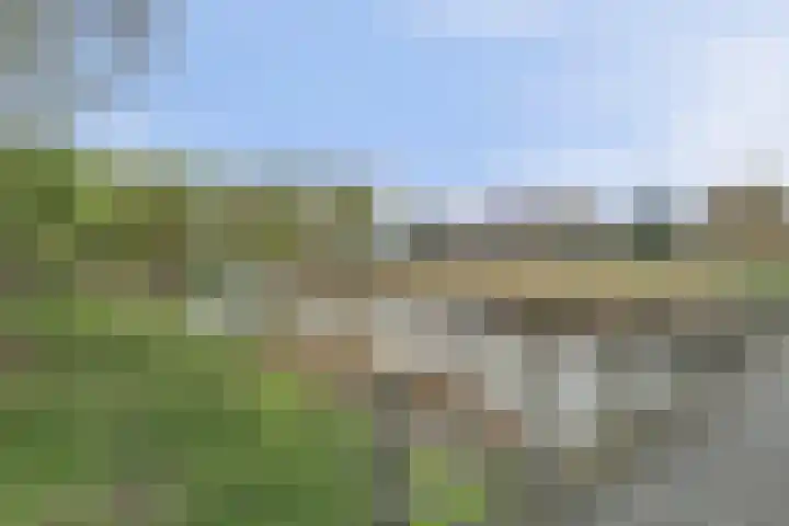 Vromoldsland 57 Middelburg thumbnail 31