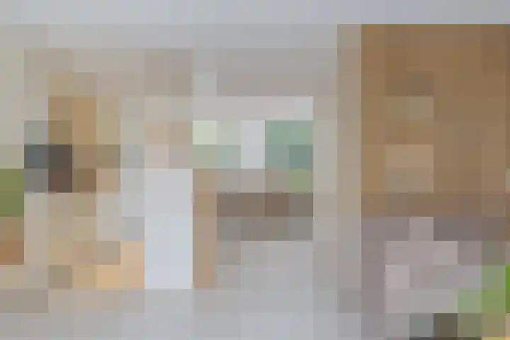 Vromoldsland 73 Middelburg thumbnail 13