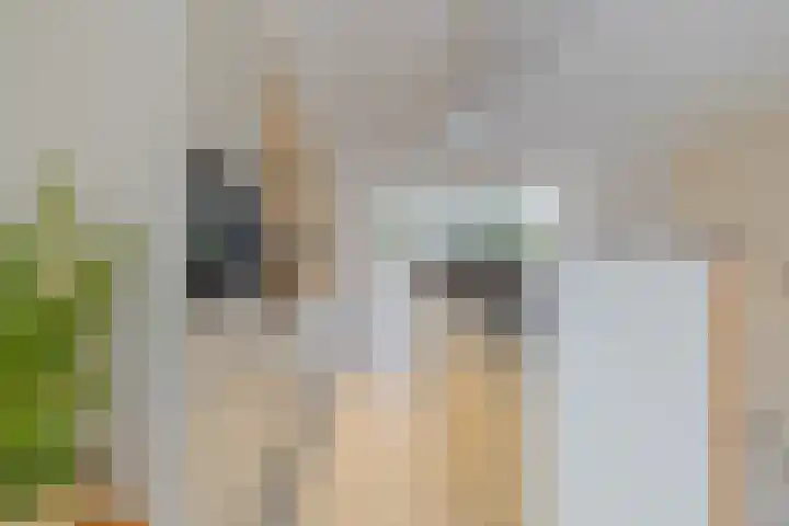 Vromoldsland 73 Middelburg thumbnail 14