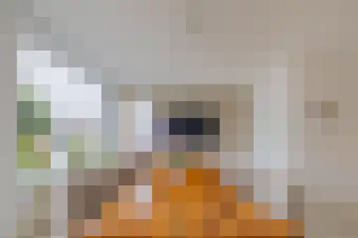 Vromoldsland 73 Middelburg thumbnail 19