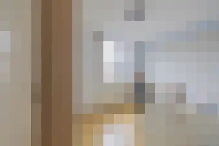 Vromoldsland 73 Middelburg thumbnail 36