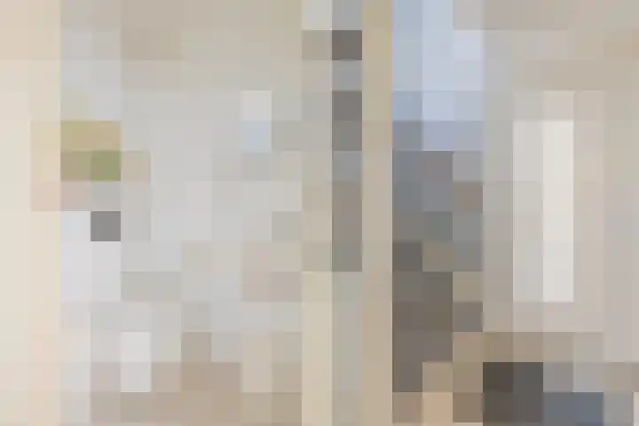 Vromoldsland 73 Middelburg thumbnail 7