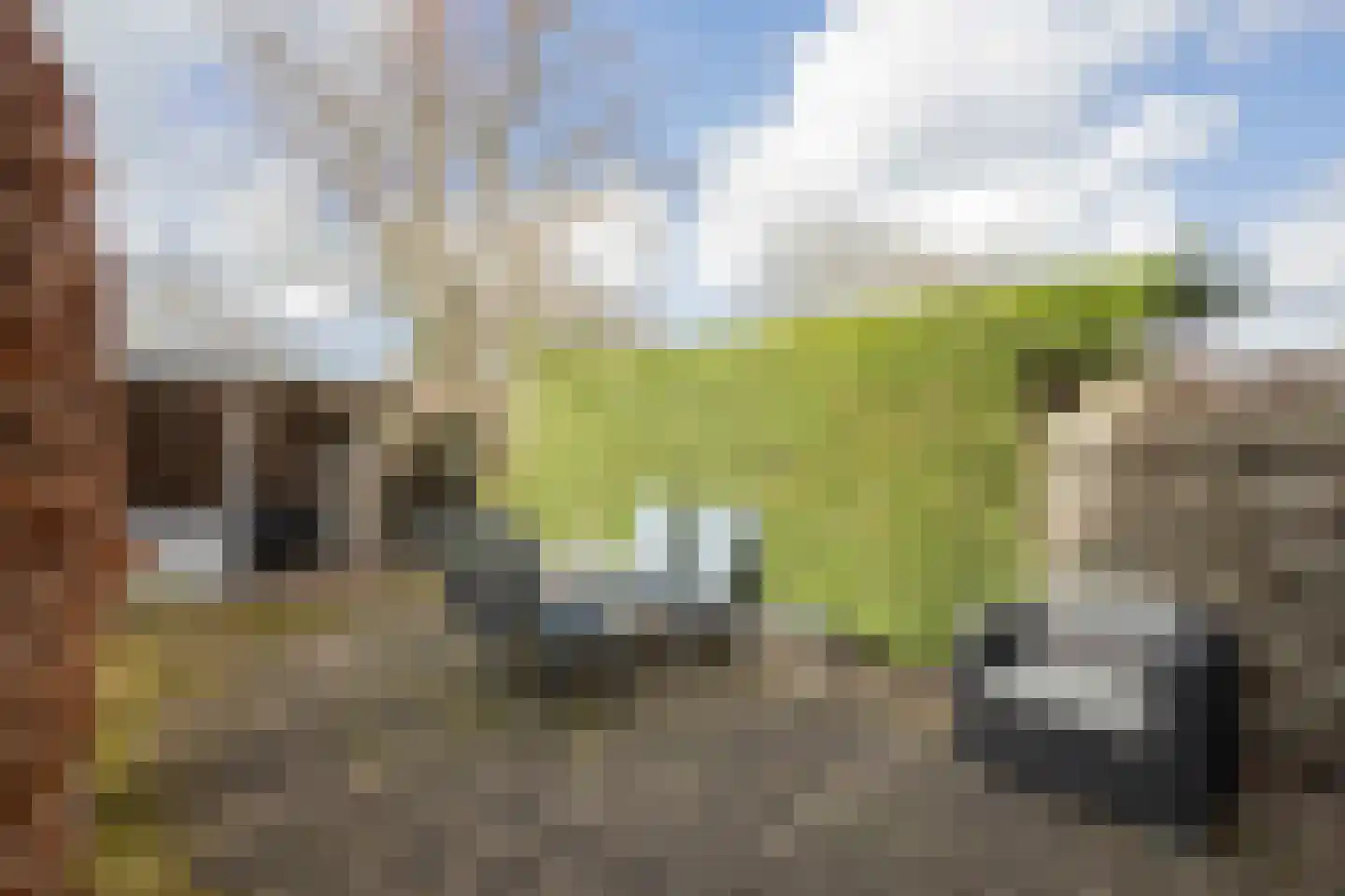 Vronen 172 Nieuw-Vennep thumbnail 40