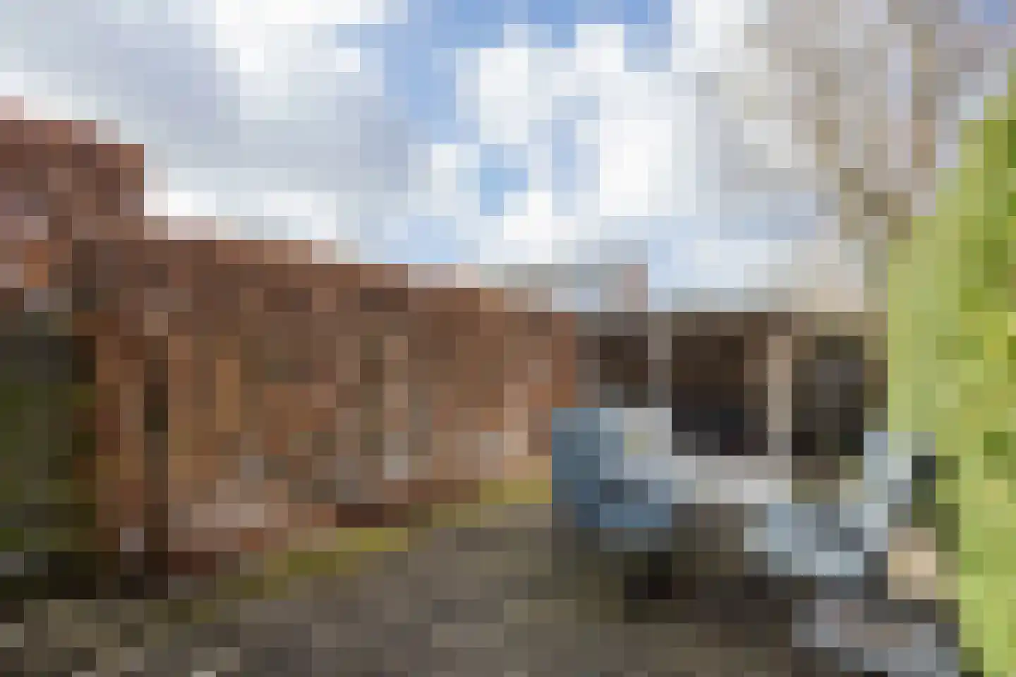 Vronen 172 Nieuw-Vennep thumbnail 41