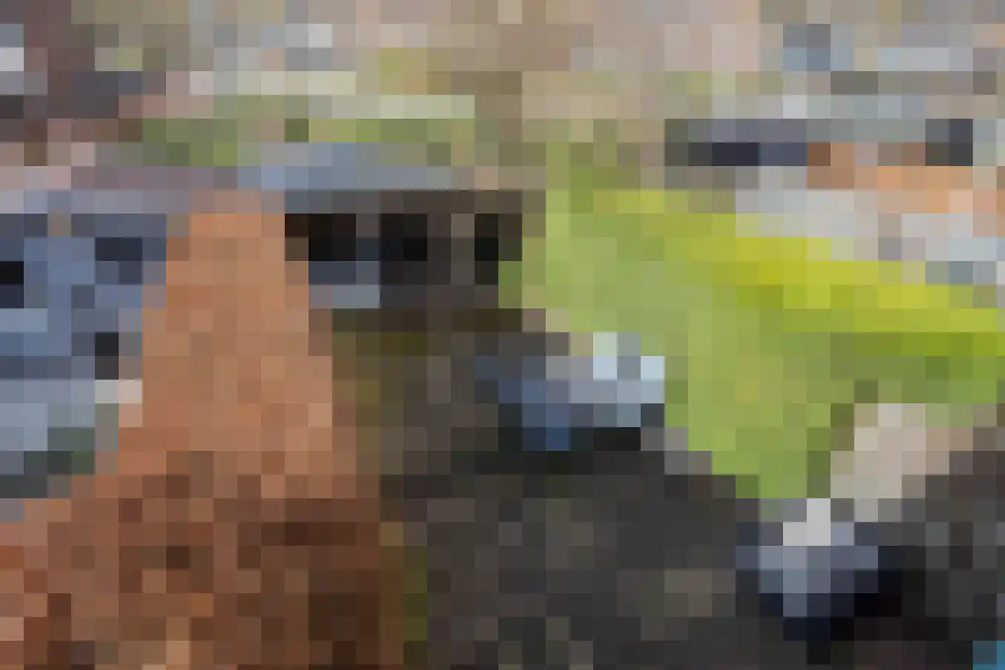 Vronen 172 Nieuw-Vennep thumbnail 48