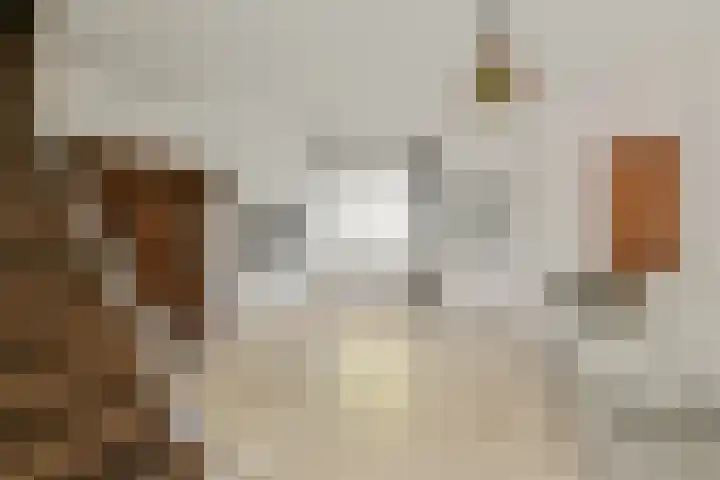 Vronen 18 Nieuw-Vennep thumbnail 10