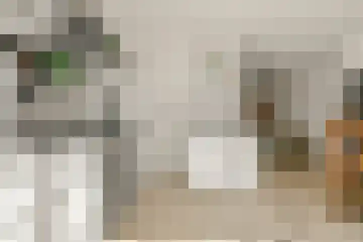 Vronen 18 Nieuw-Vennep thumbnail 16