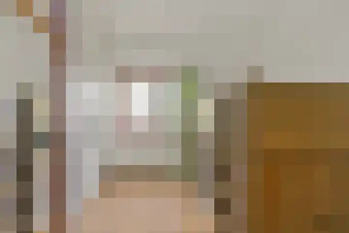 Vronen 18 Nieuw-Vennep thumbnail 22