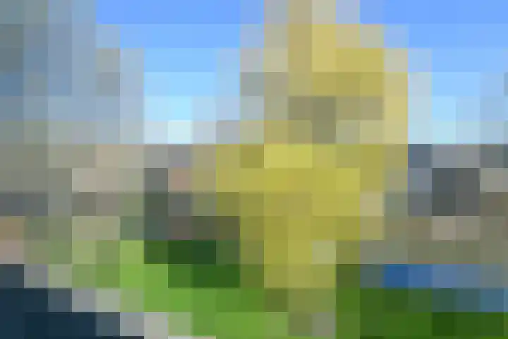 Vronen 18 Nieuw-Vennep thumbnail 29