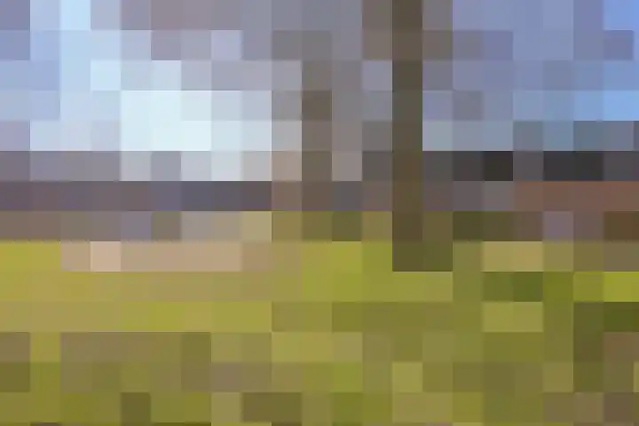 Vronen 18 Nieuw-Vennep thumbnail 30