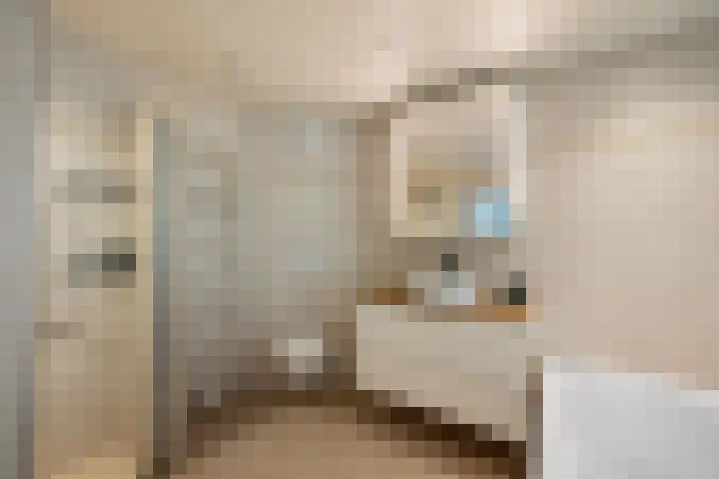Vronen 20 Nieuw-Vennep thumbnail 15