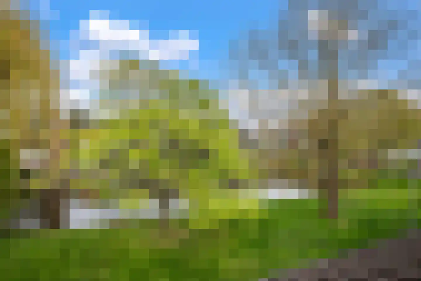 Vronen 20 Nieuw-Vennep thumbnail 24