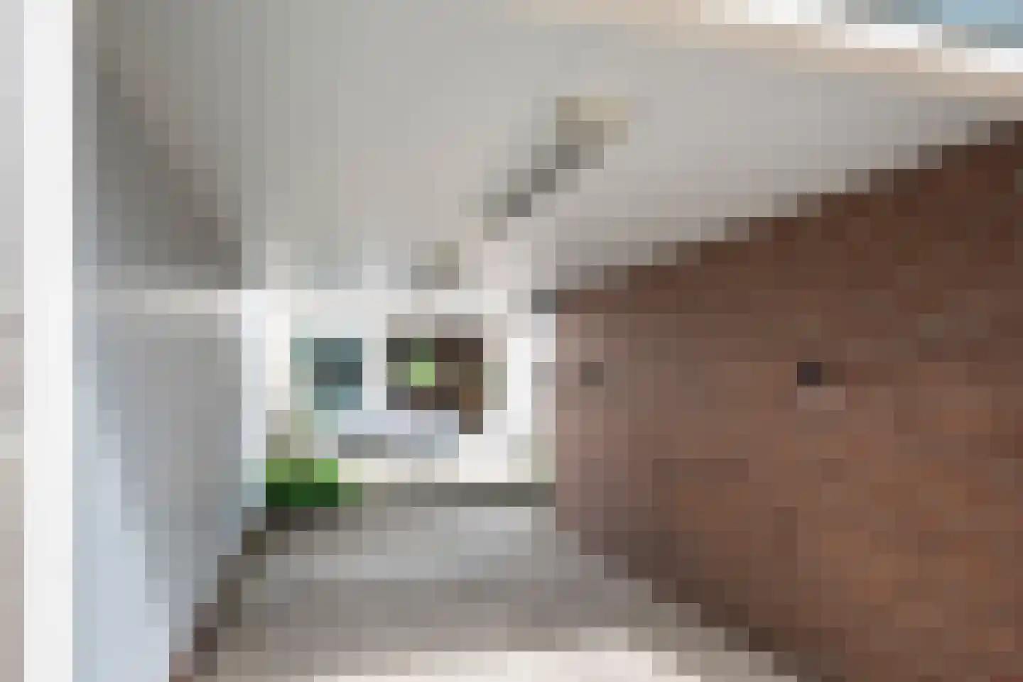 Vronen 20 Nieuw-Vennep thumbnail 6