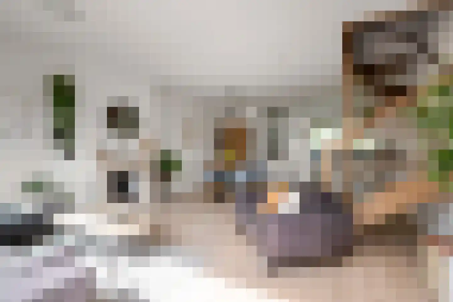 Vronen 20 Nieuw-Vennep thumbnail 8