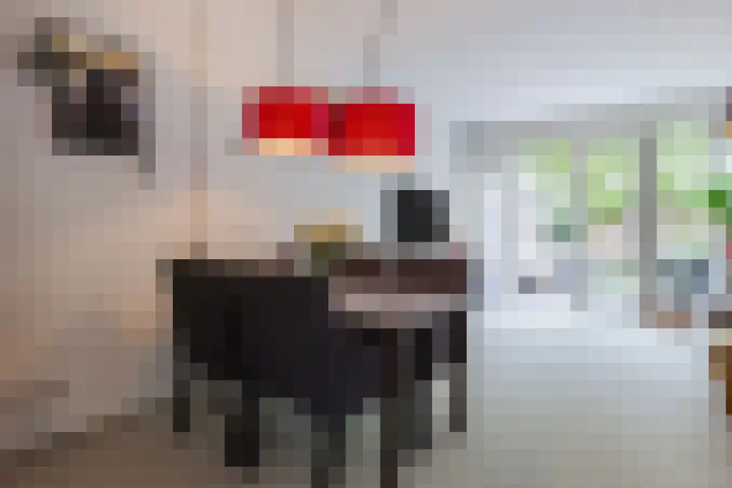 Vronen 60 Nieuw-Vennep thumbnail 18