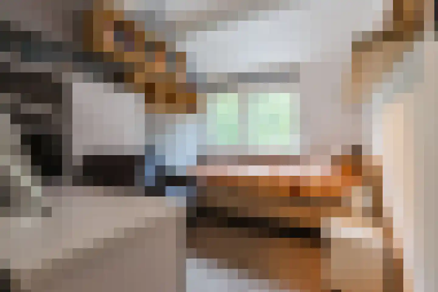 Vronen 60 Nieuw-Vennep thumbnail 31