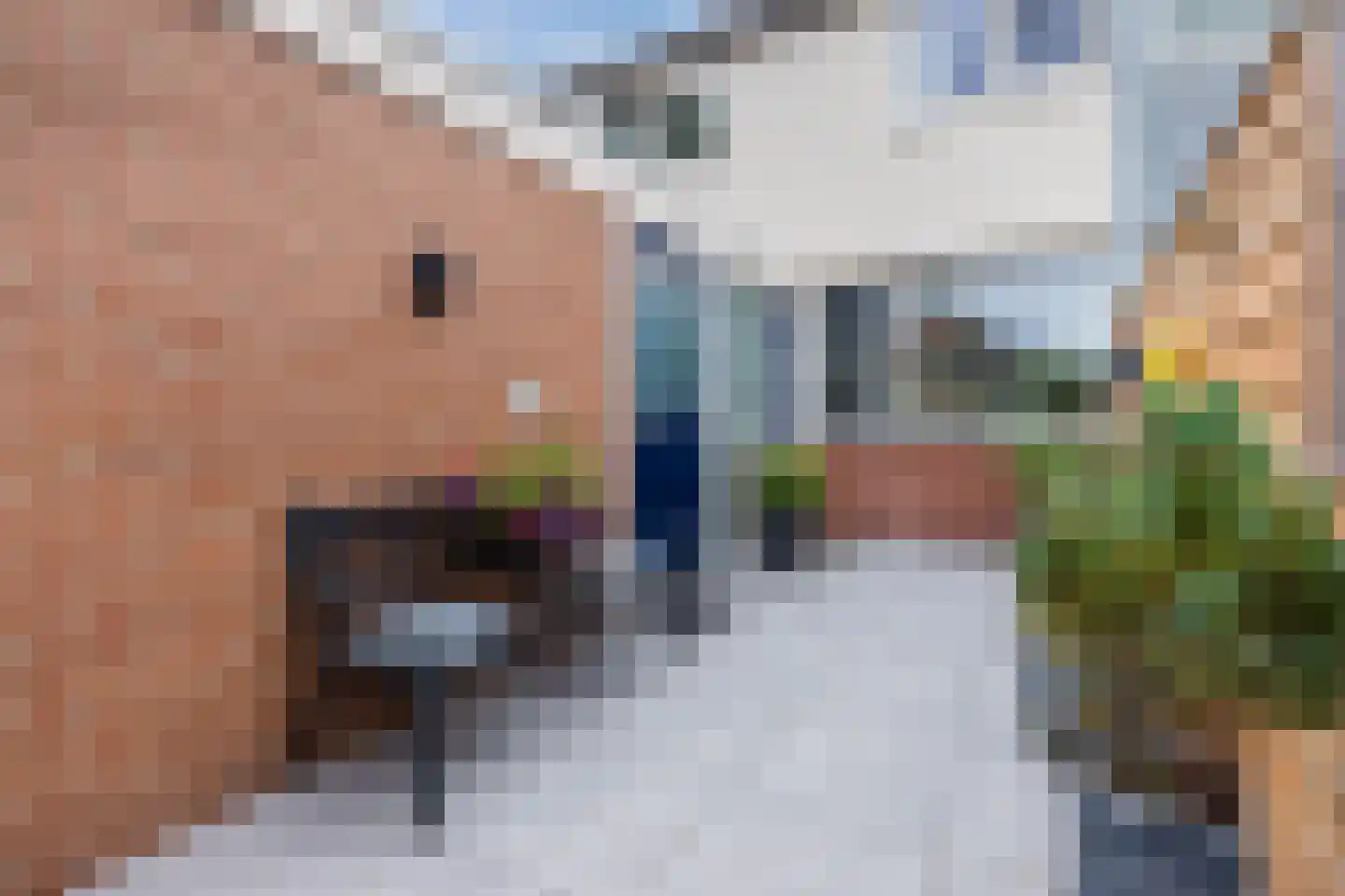 Vronen 60 Nieuw-Vennep thumbnail 4