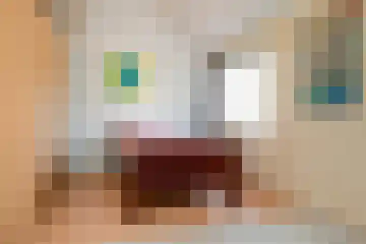 Vronen 64 Nieuw-Vennep thumbnail 18