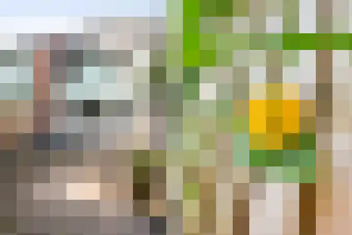 Vronen 64 Nieuw-Vennep thumbnail 26