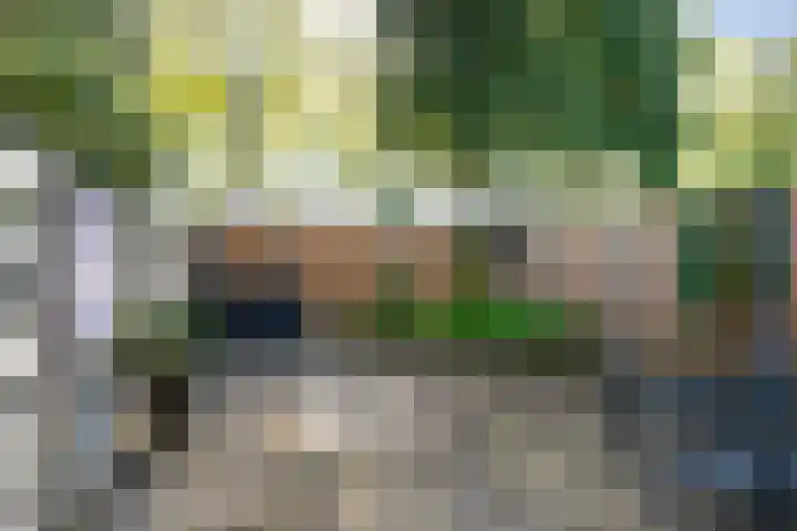 Vronen 64 Nieuw-Vennep thumbnail 27