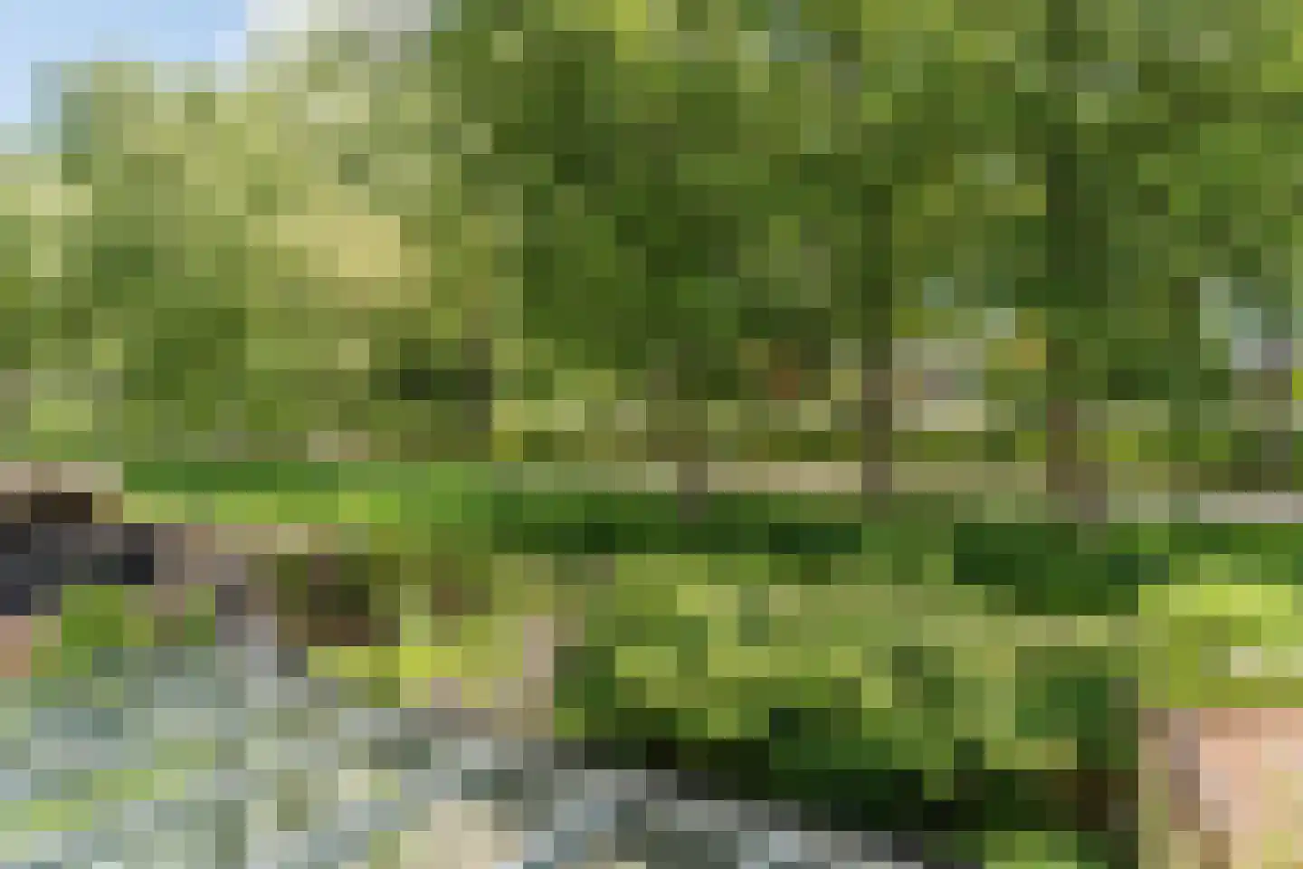 Vronen 68 Nieuw-Vennep thumbnail 37