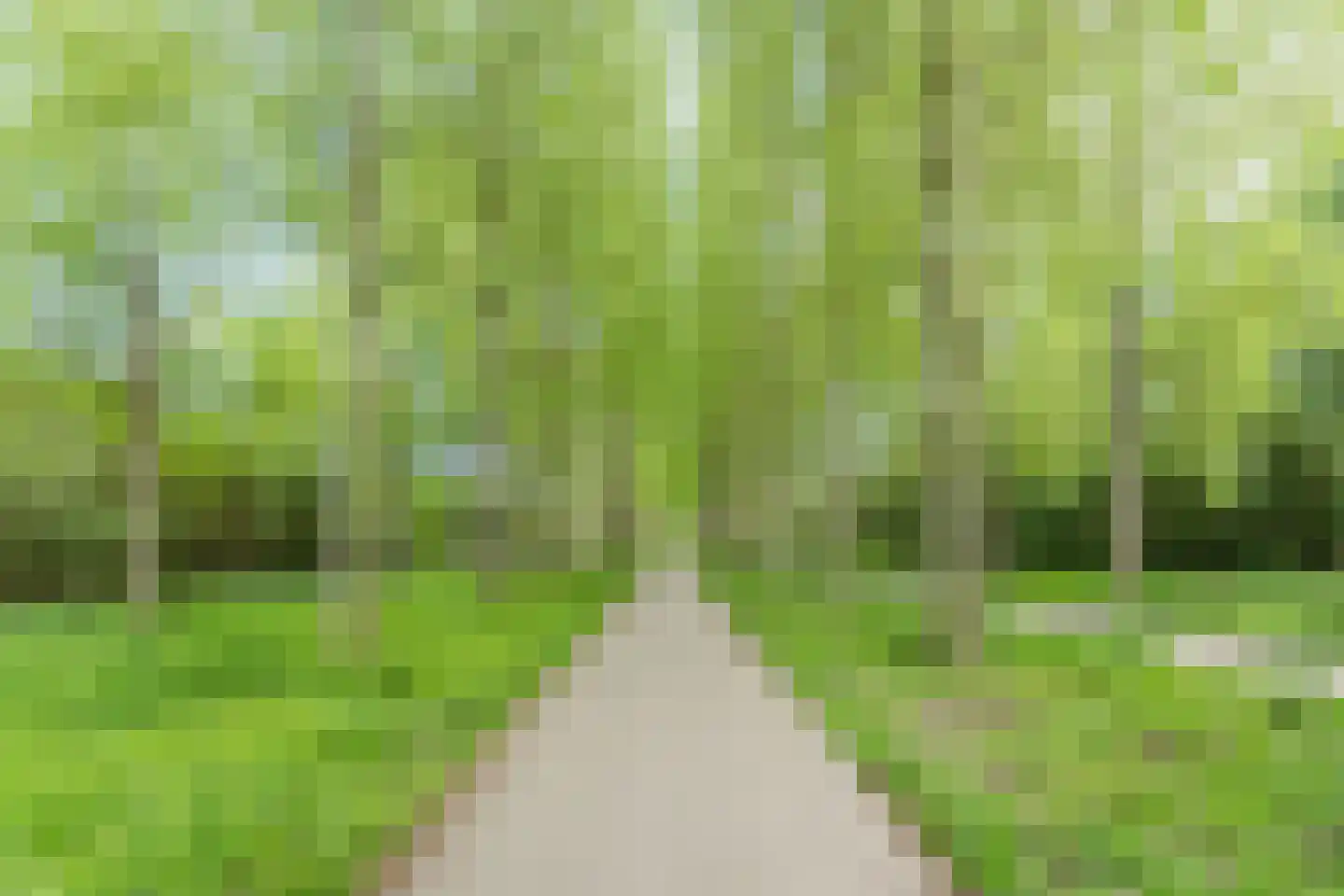 Vronen 68 Nieuw-Vennep thumbnail 47