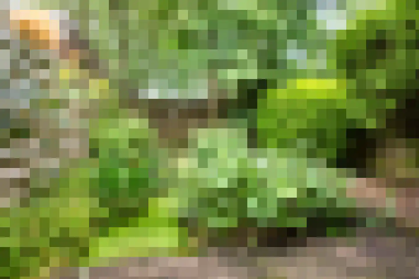 Vronen 78 Nieuw-Vennep thumbnail 5