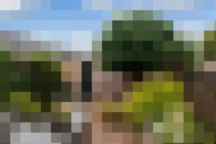 Vronesteijn 14 IJsselstein thumbnail 17