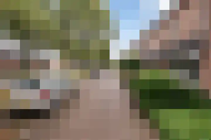 Vronesteijn 14 IJsselstein thumbnail 5