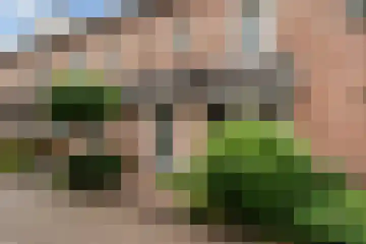 Vronesteijn 14 IJsselstein thumbnail 8