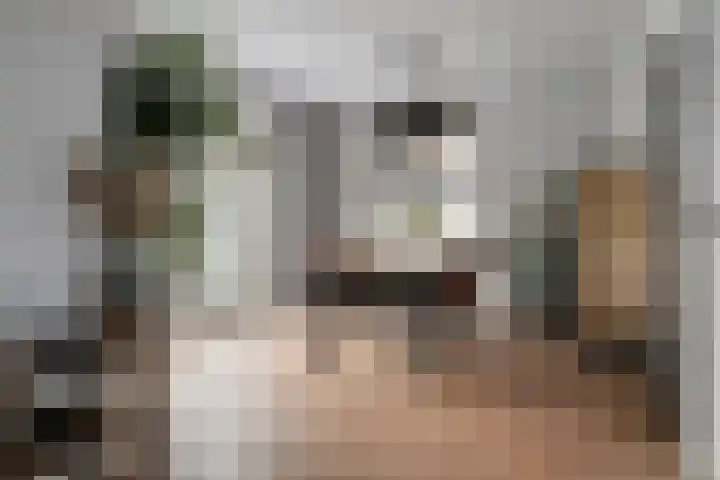 Vronesteijn 59 Oostkapelle thumbnail 12