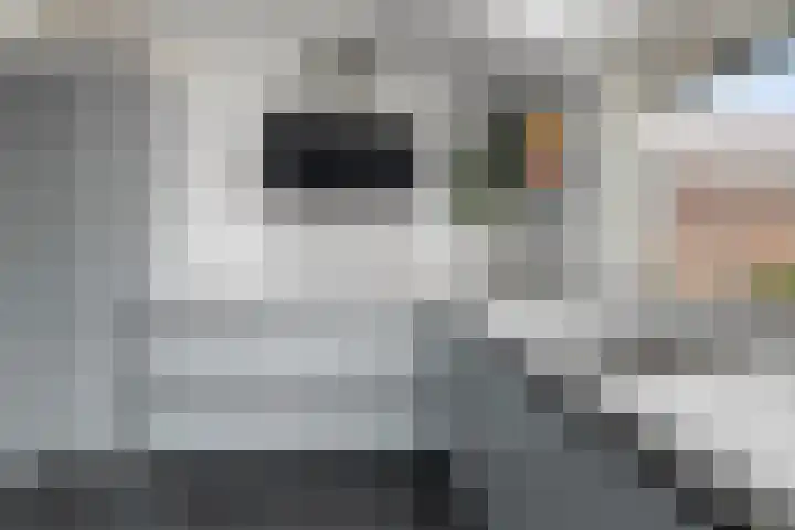 Vronesteijn 59 Oostkapelle thumbnail 17