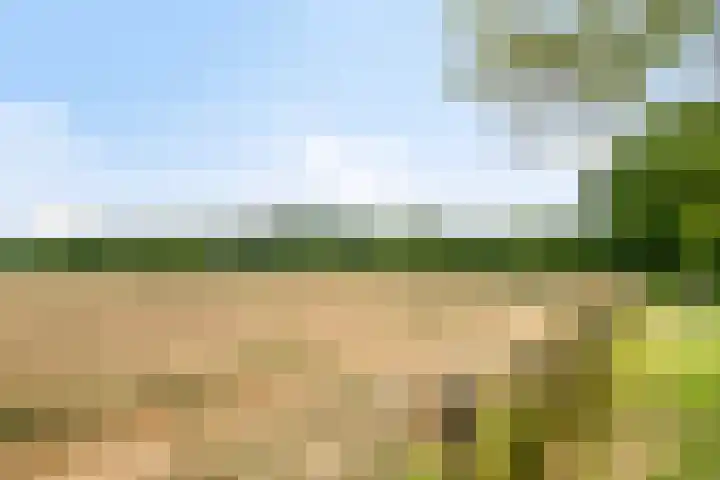 Vronesteijn 59 Oostkapelle thumbnail 32
