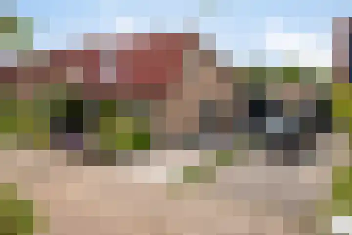 Vronesteijn 59 Oostkapelle thumbnail 35