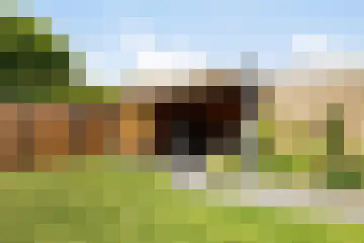 Vronesteijn 59 Oostkapelle thumbnail 4