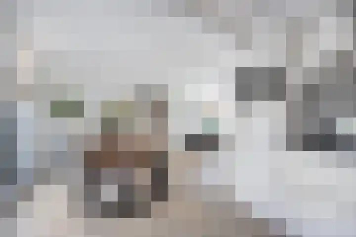Vronkenlaan 59 Leiderdorp thumbnail 11