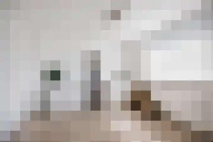 Vronkenlaan 59 Leiderdorp thumbnail 15