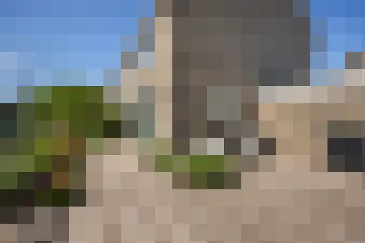 Vronkenlaan 59 Leiderdorp thumbnail 25