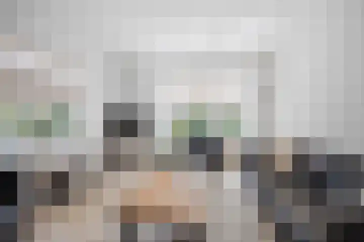 Vronkenlaan 59 Leiderdorp thumbnail 4