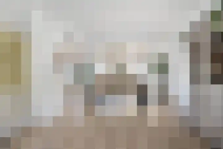 Vronkenlaan 59 Leiderdorp thumbnail 6