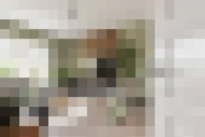 Vronkenlaan 69 Leiderdorp thumbnail 10