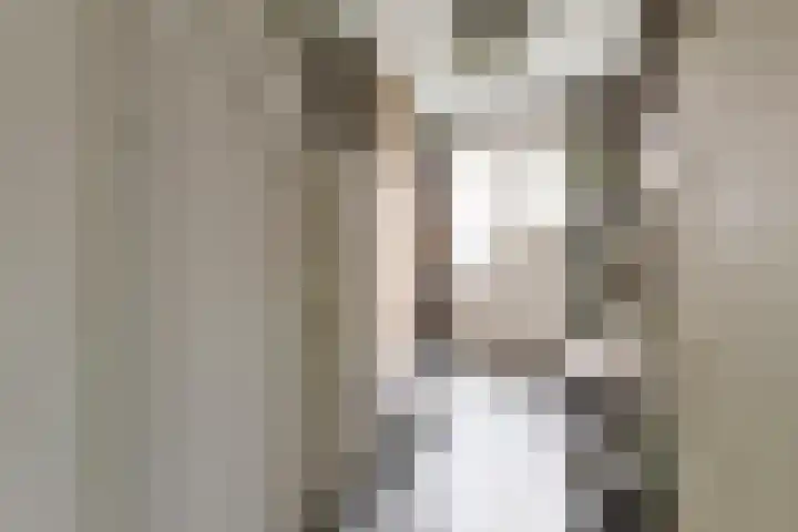 Vronkenlaan 69 Leiderdorp thumbnail 11