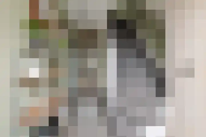 Vronkenlaan 69 Leiderdorp thumbnail 13
